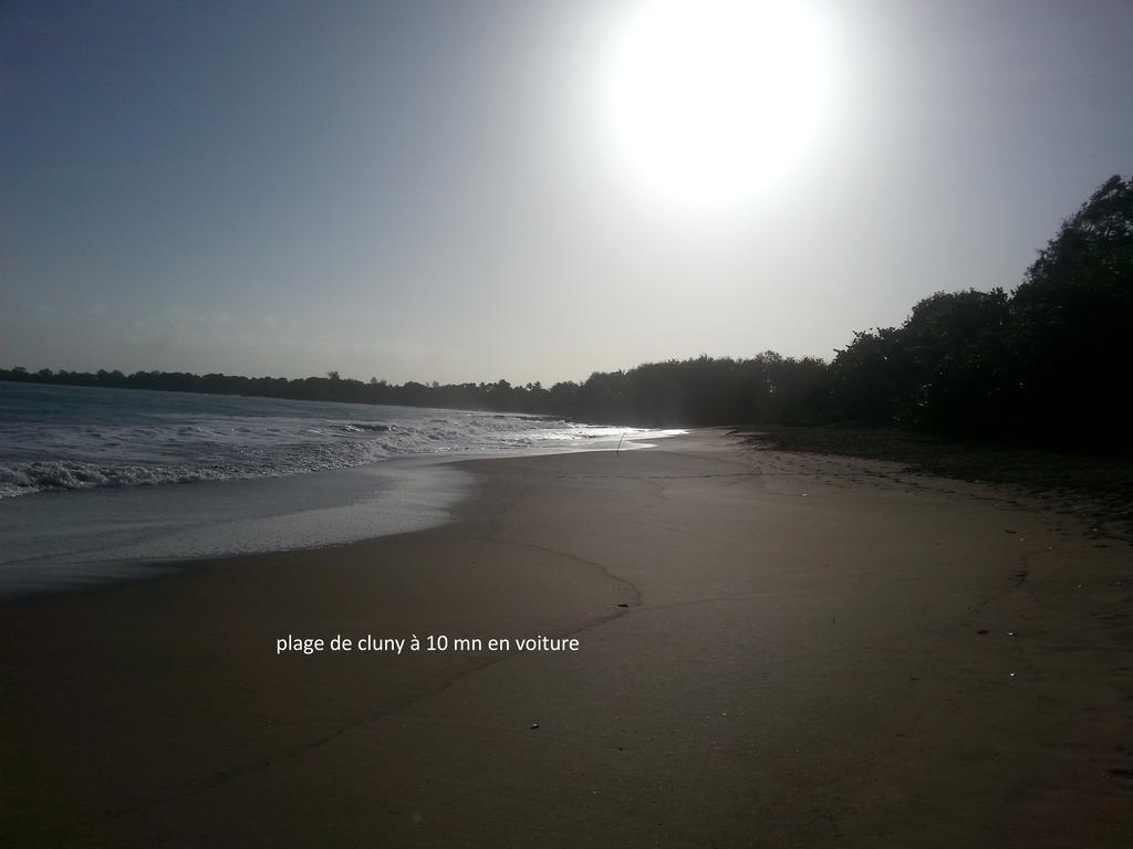 L'Ecomusee Creole De La Guadeloupe Sainte-Rose Εξωτερικό φωτογραφία