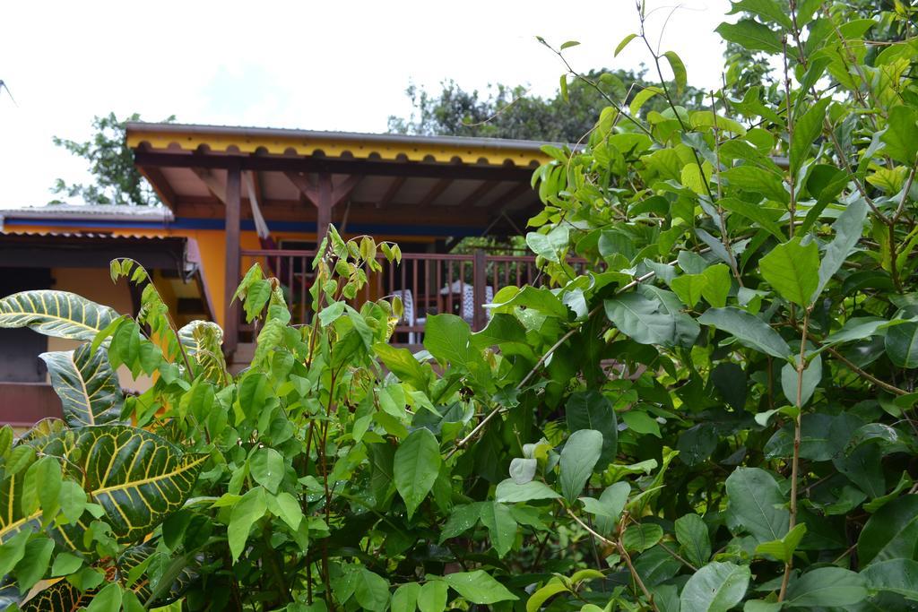 L'Ecomusee Creole De La Guadeloupe Sainte-Rose Εξωτερικό φωτογραφία